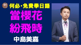 當櫻花紛飛時中島美嘉中文翻譯講解桜色舞う頃